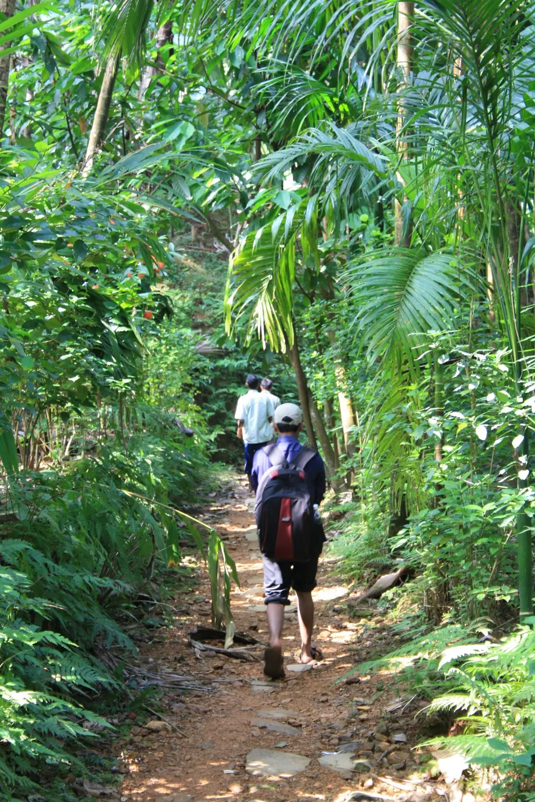 Nature Camp Event