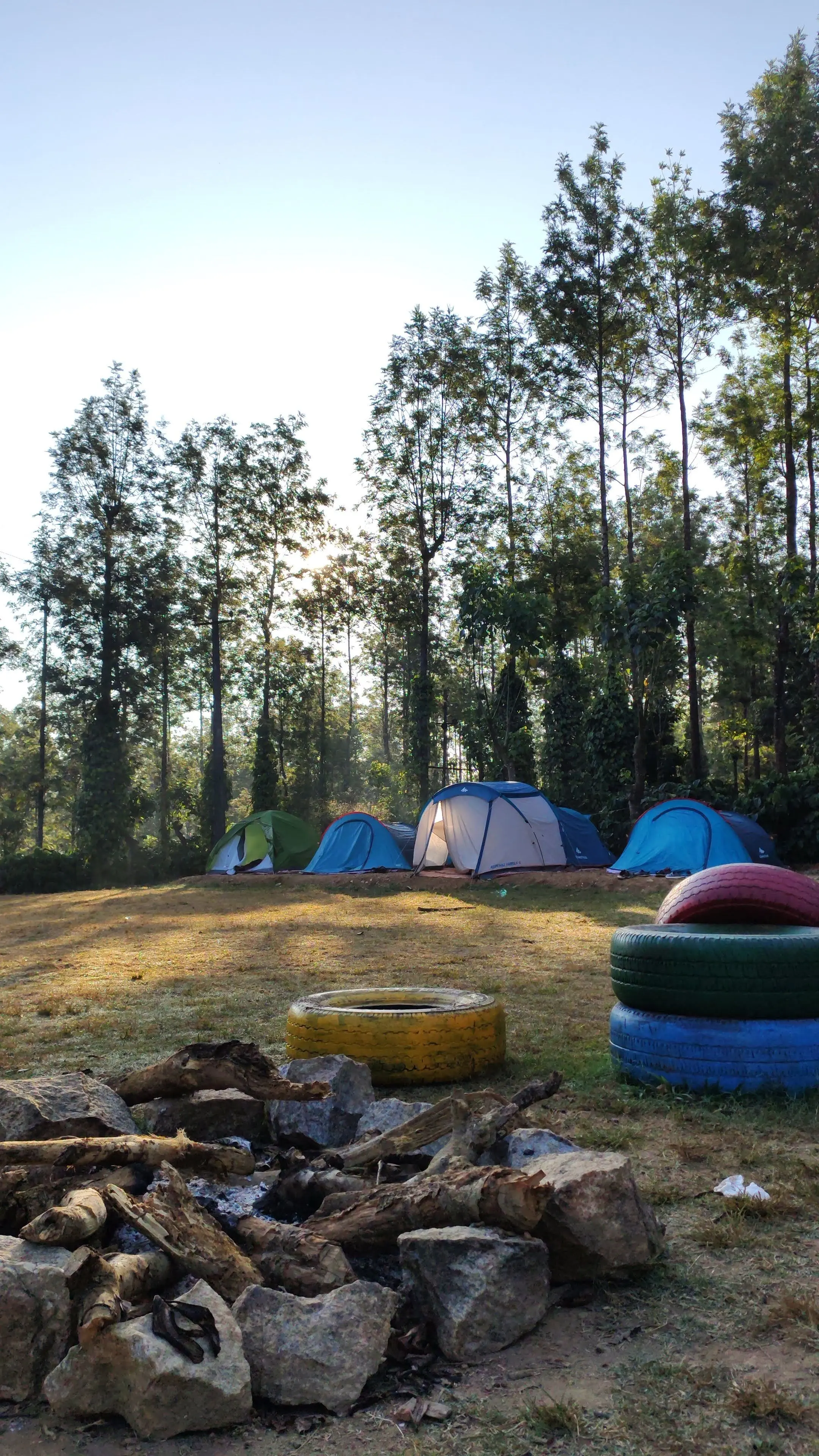 Nature Camps